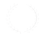 SAP Partner Award 2015 – Small Business Solution Innovation