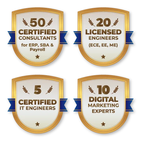 50 certified consultants for ERP, SBA and payroll; 20 licensed engineers; 5 certified IT engineers; 10 digital marketing experts.